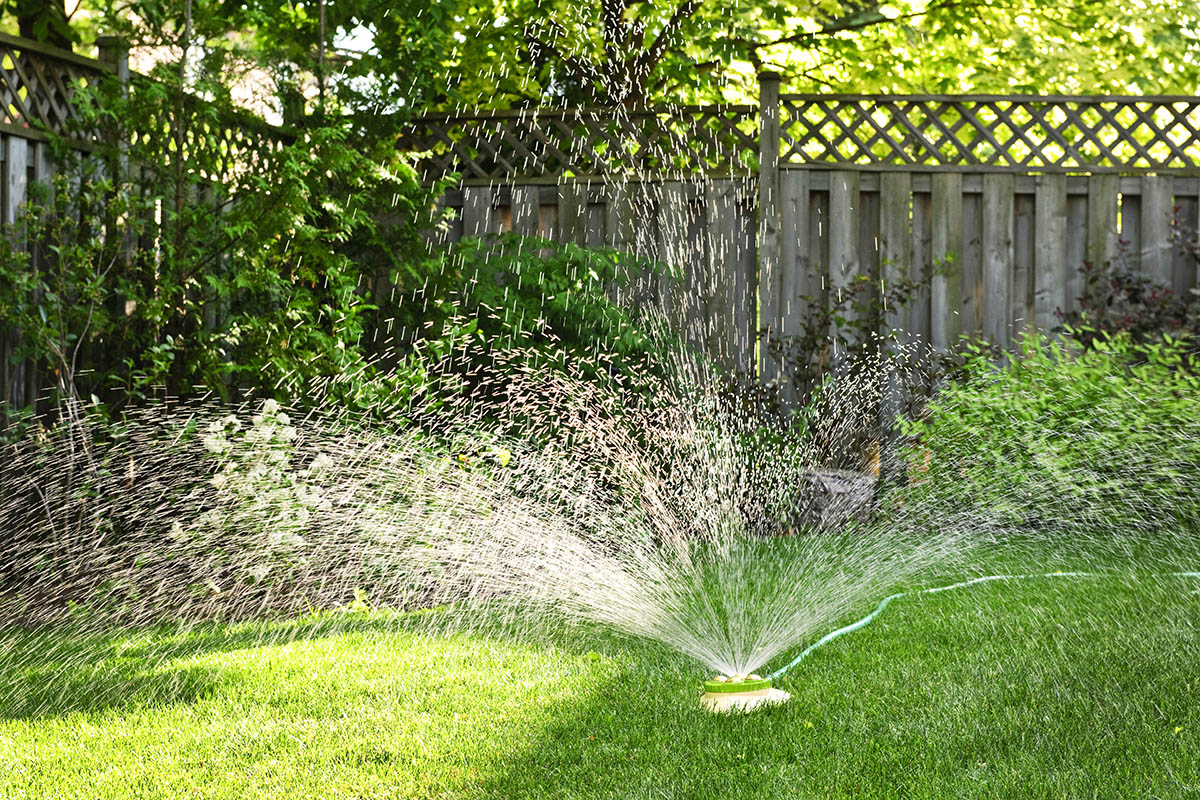 Der Rasensprengler sollte mindestens eineinhalb Stunden eine Stelle bewässern können.