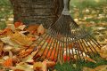 Herbstlaub ist kein Abfallprodukt, sondern gehört in den natürlichen Kreislauf der Natur.