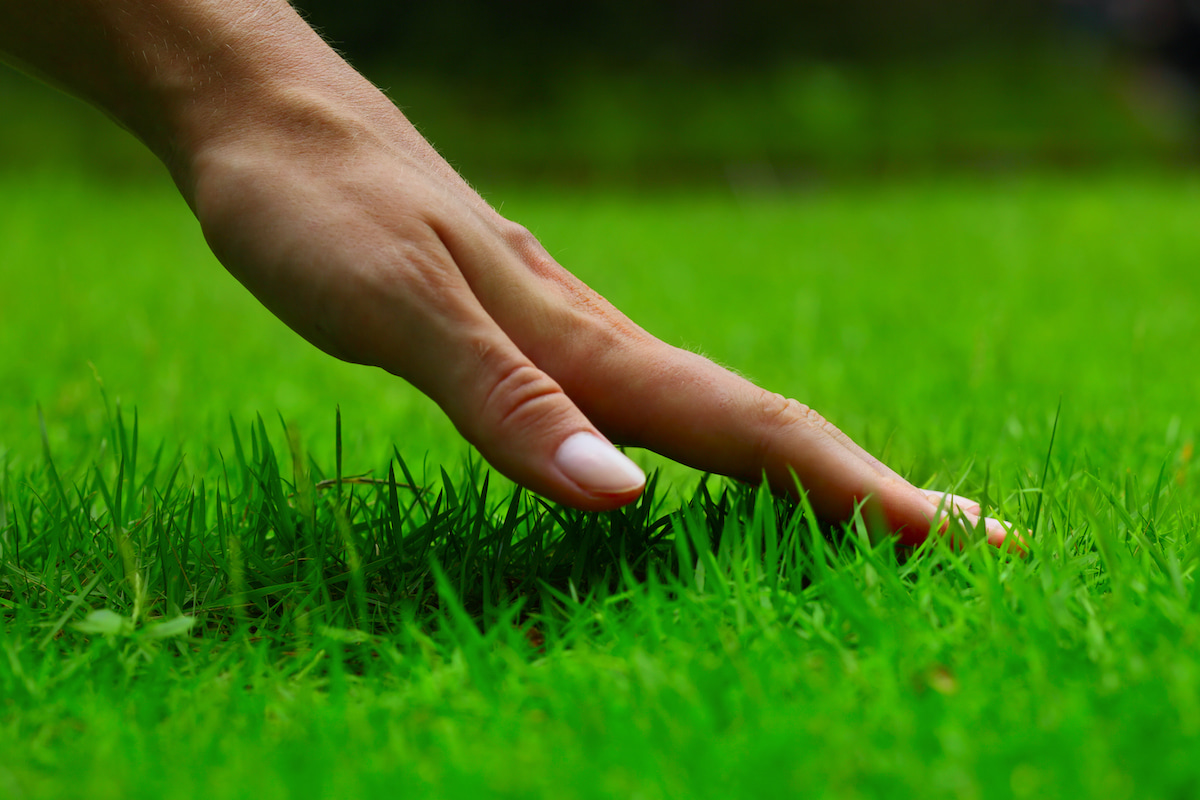 Hand streift über tiefgrünen Rasen.