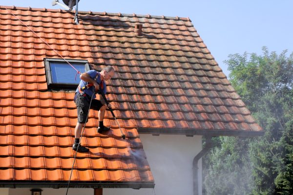 Eine Dachreinigung ist sinnvoll, sobald das Dach durch zu viel Bewuchs Schaden nehmen könnte.